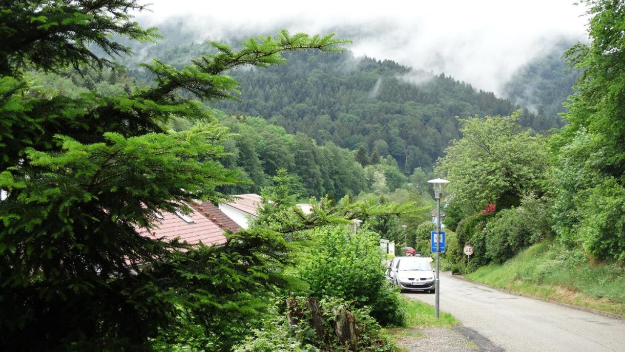 Alb-Rosa Apartman Bad Herrenalb Kültér fotó
